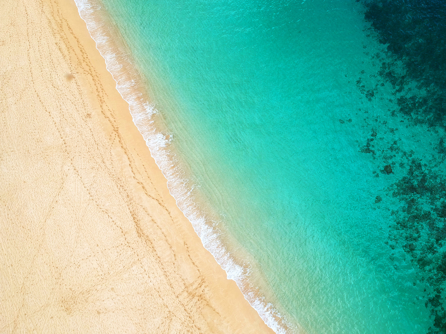 Taking Flight: A Beginner’s Guide to Aerial Photography