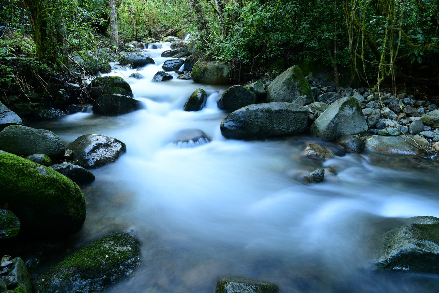 nature photography-costa rica