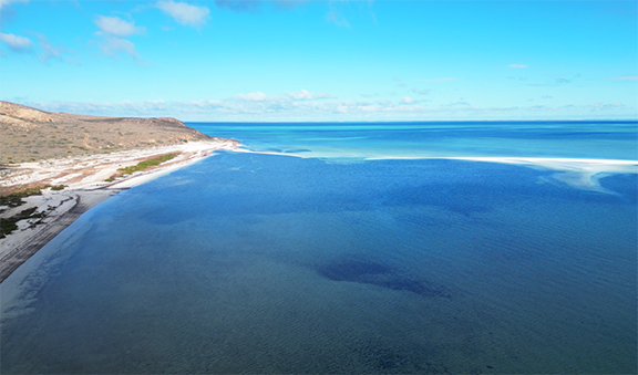#3 Australia Trip May 2024 Coral bay, Western Australia