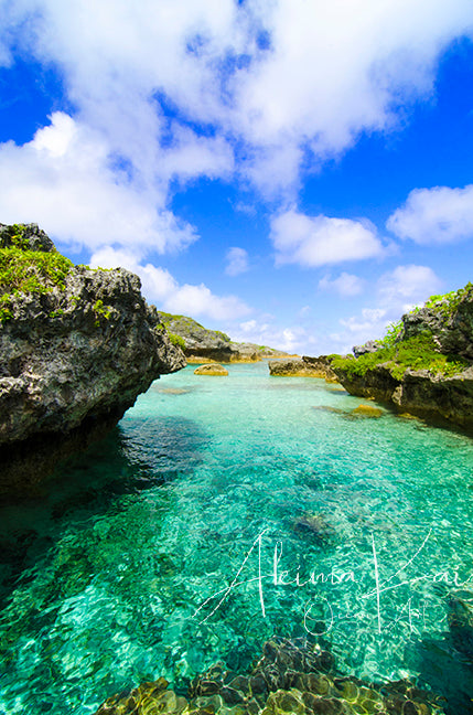 Open the door photography for sale