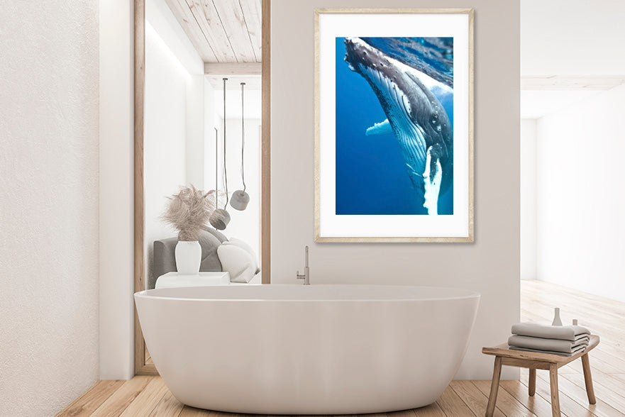 Mama whale photography bathroom