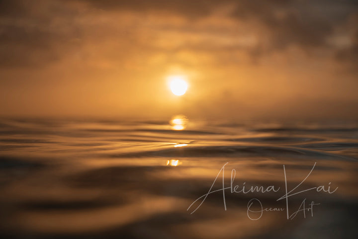 memory of the cell photography hawaii