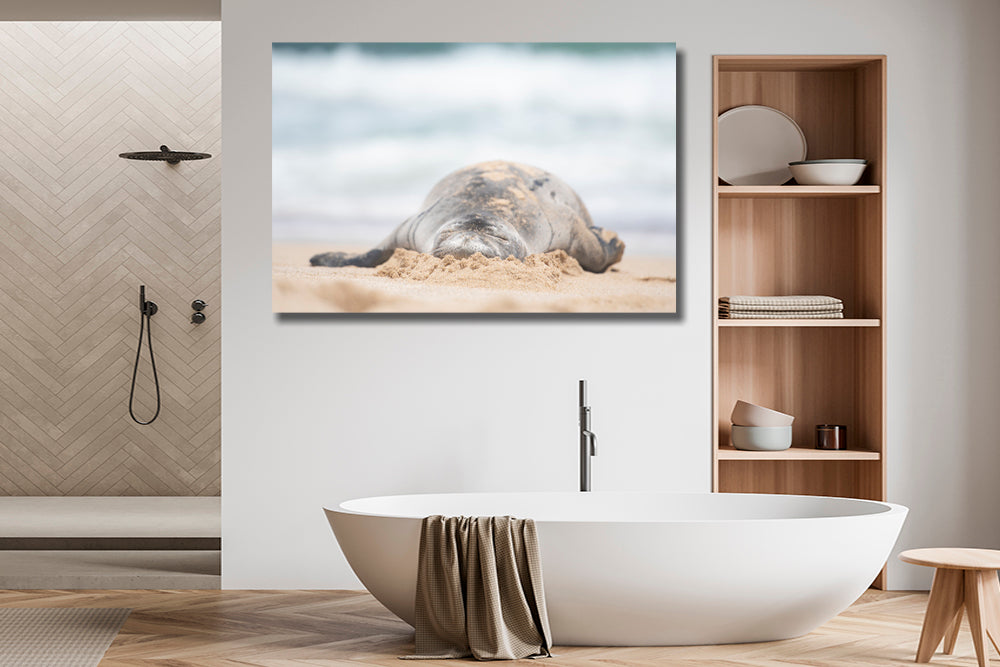 Hawaiian monk seal melting marshmallow photography bathroom