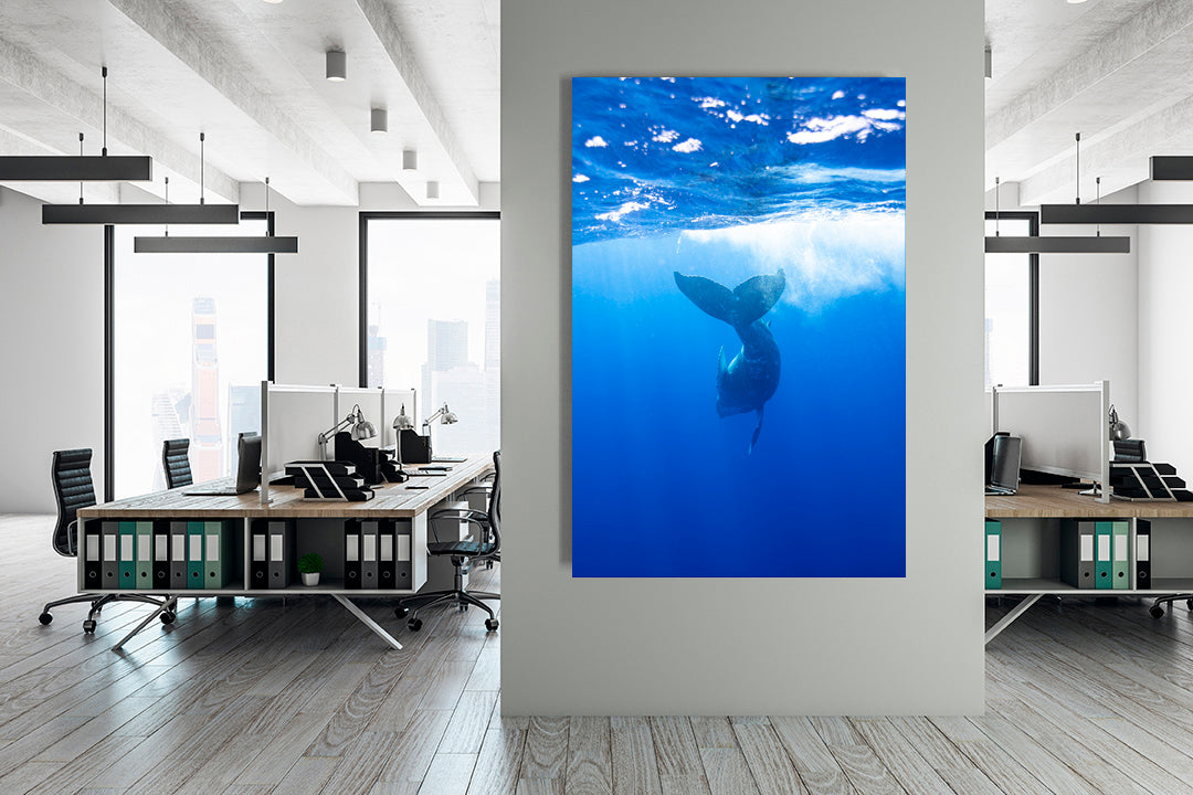 Delight photography office