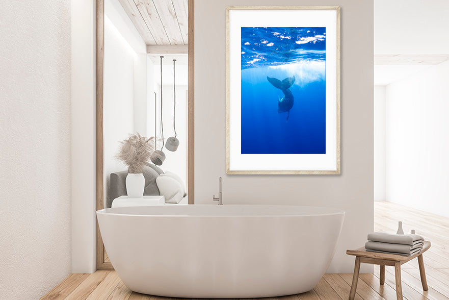 Delight photography bathroom