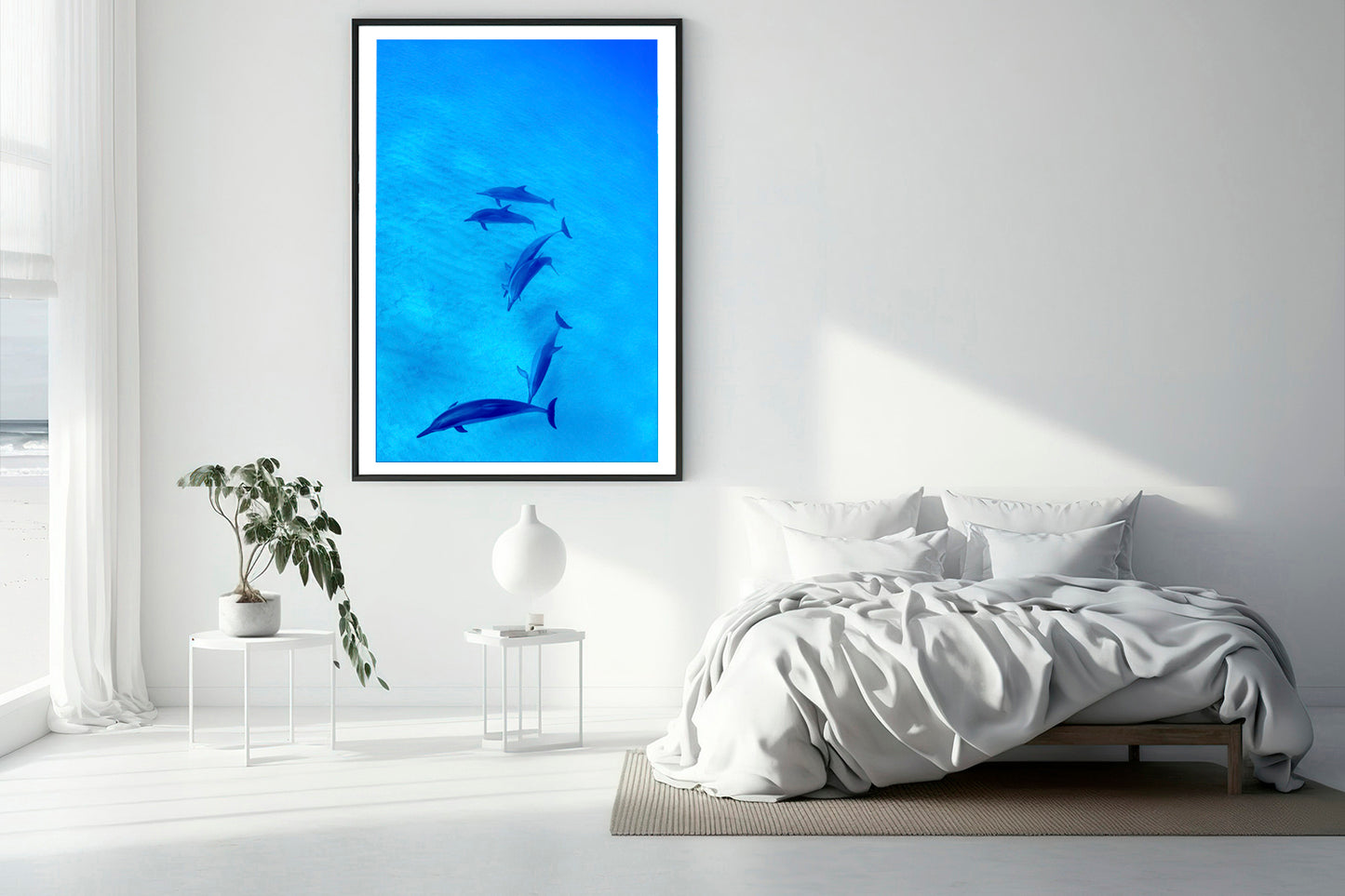 Celeste dolphin photography bedroom