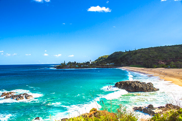Waimea bay