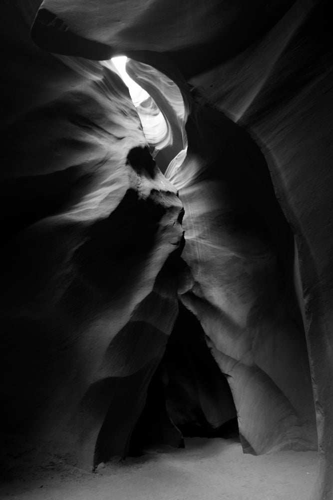 Monochrome Magic: Exploring the Timeless Beauty of Black and White Nature Photography