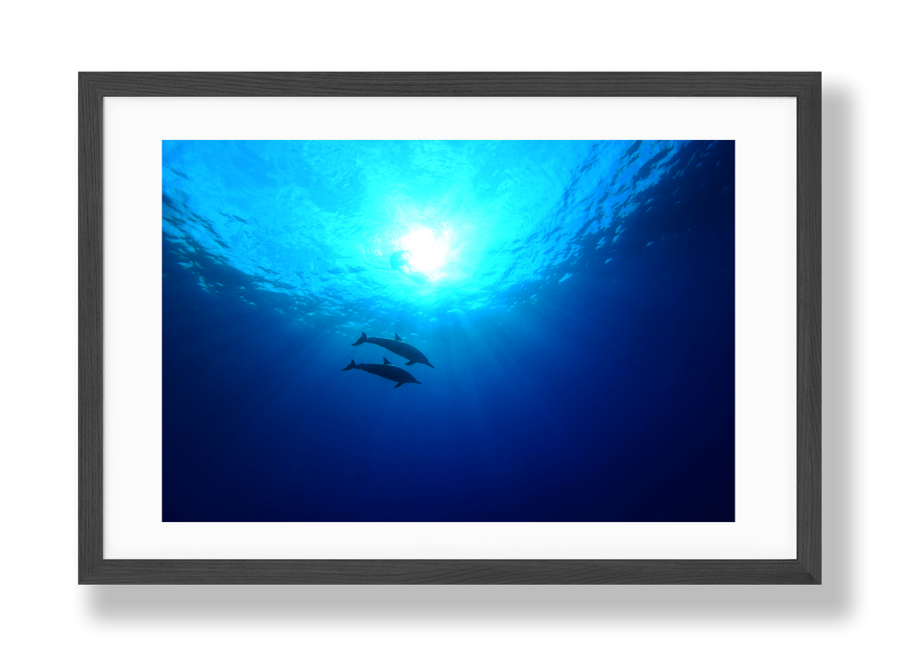 fine art photography