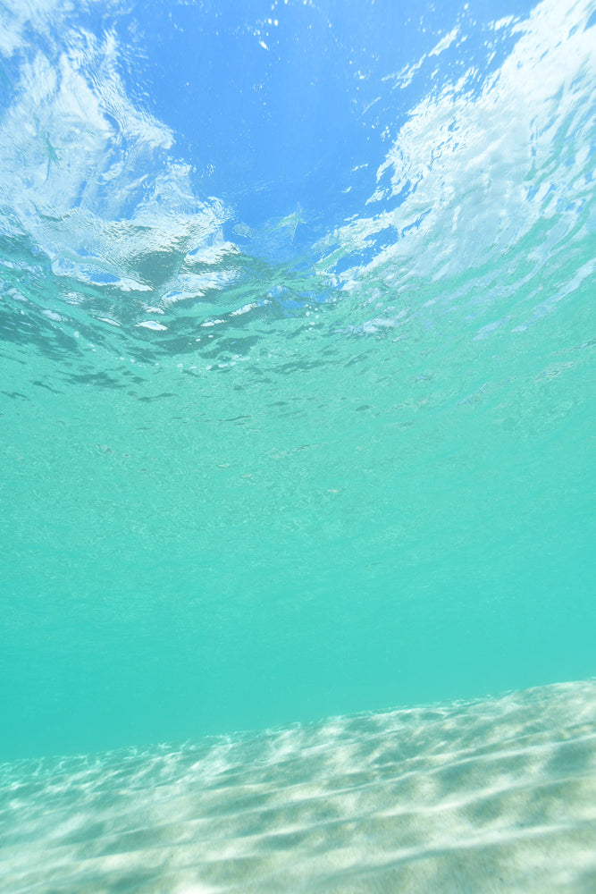 Exploring the Hidden Depths