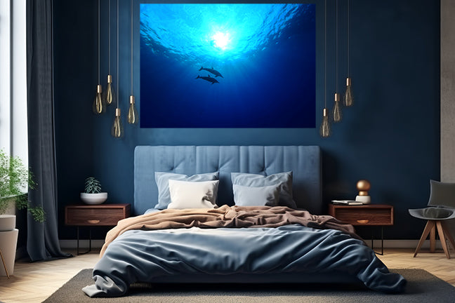 Capturing the Mysteries of the Deep: The World of an Ocean Photographer