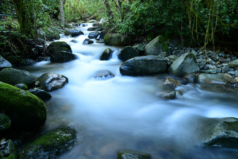 nature photography-costa rica
