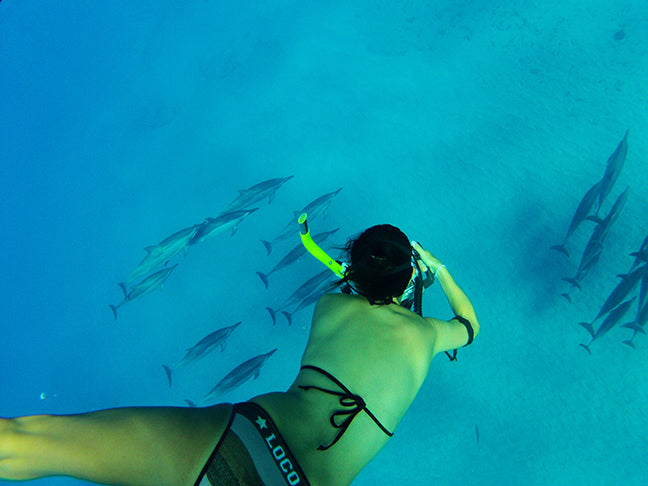 akima with dolphins hawaii