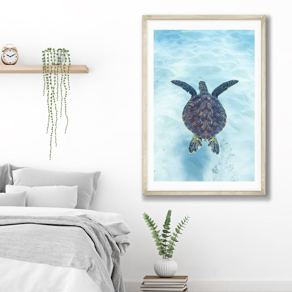 Hawaii underwater photography gallery