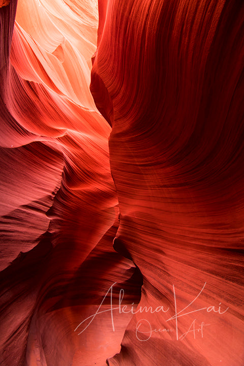 
                  
                    Earthy Red | Arizona Photography
                  
                