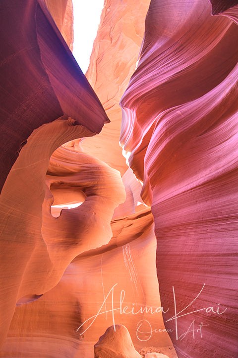 
                  
                    Possession Photography Arizona
                  
                