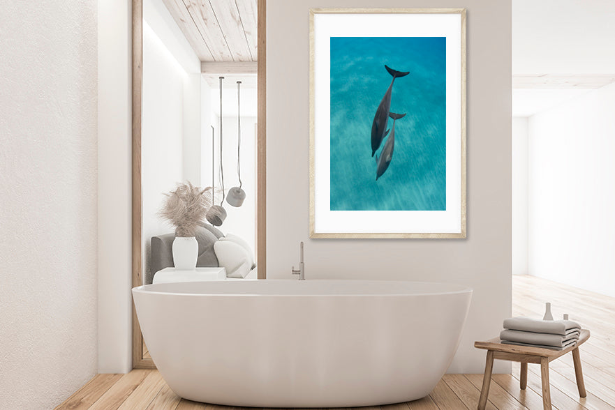 
                  
                    Two Dolphins photography bathroom
                  
                