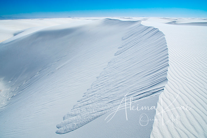 
                  
                    White sand National park photography
                  
                