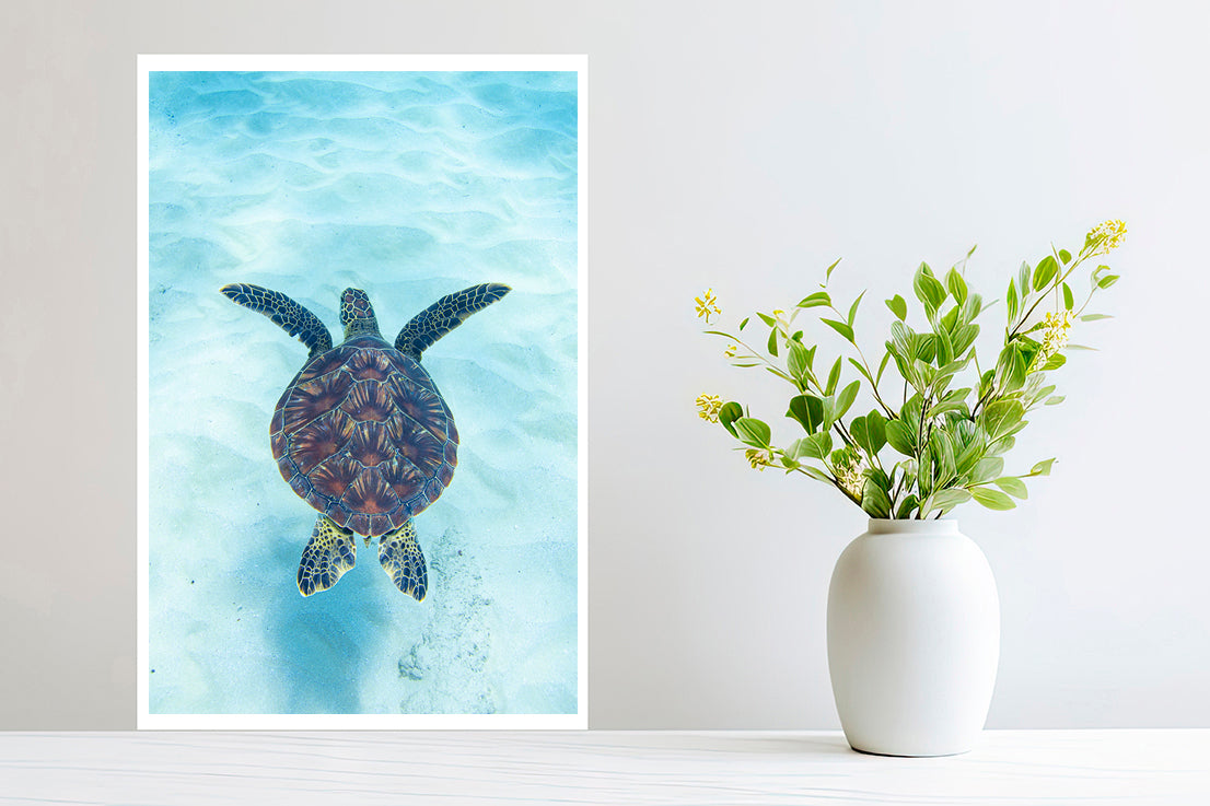 
                  
                    Journey honu photography small print
                  
                