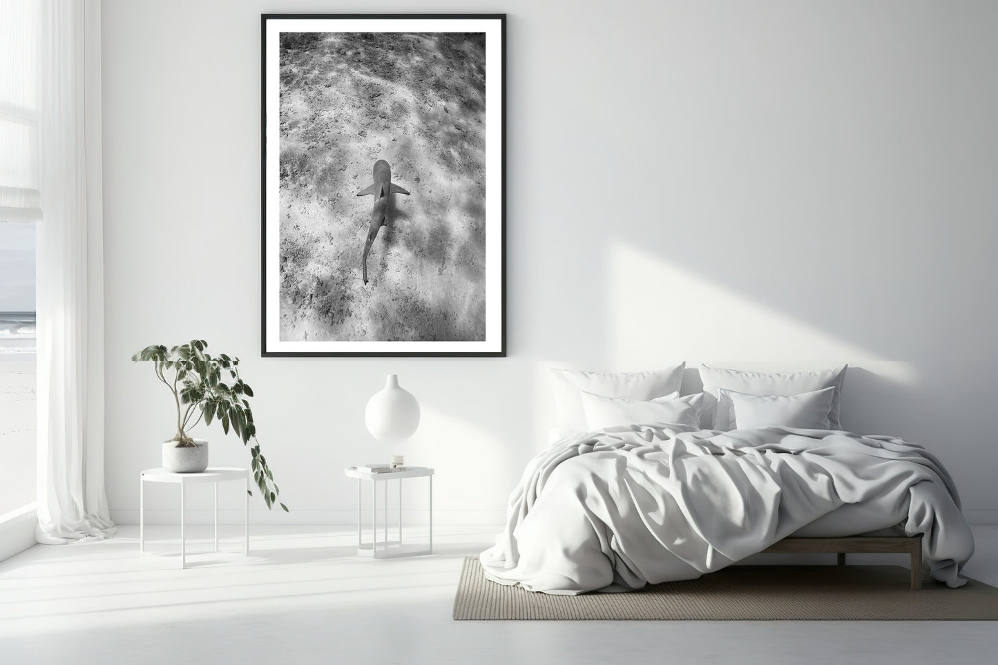 
                  
                    black tip shark bnw photography bed room
                  
                