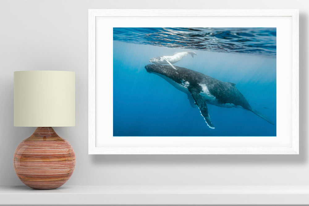 Daughter of the open sea small print