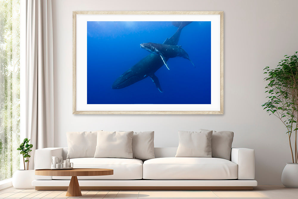 Indigo Ocean photograph living room 