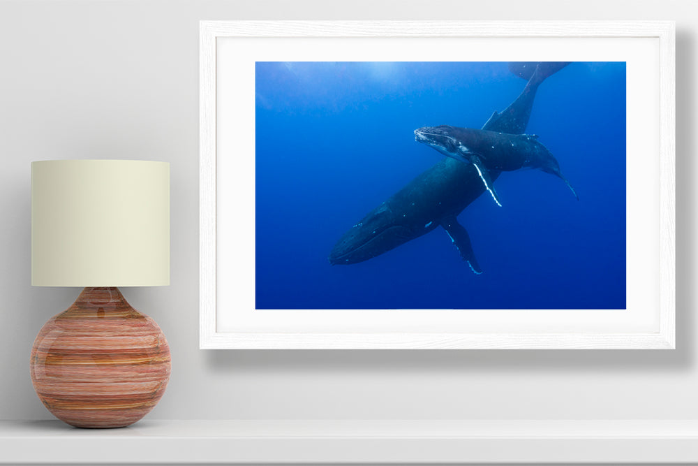 
                  
                    Indigo Ocean photograph small print
                  
                