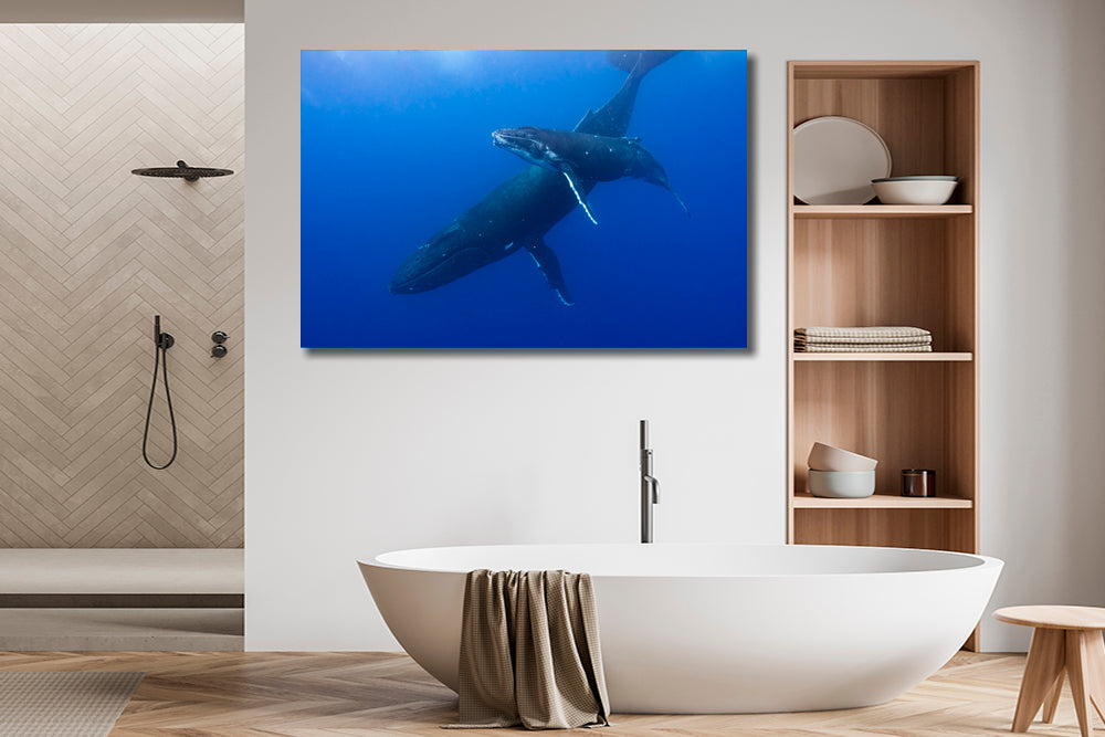 
                  
                    Indigo Ocean photograph bathroom
                  
                