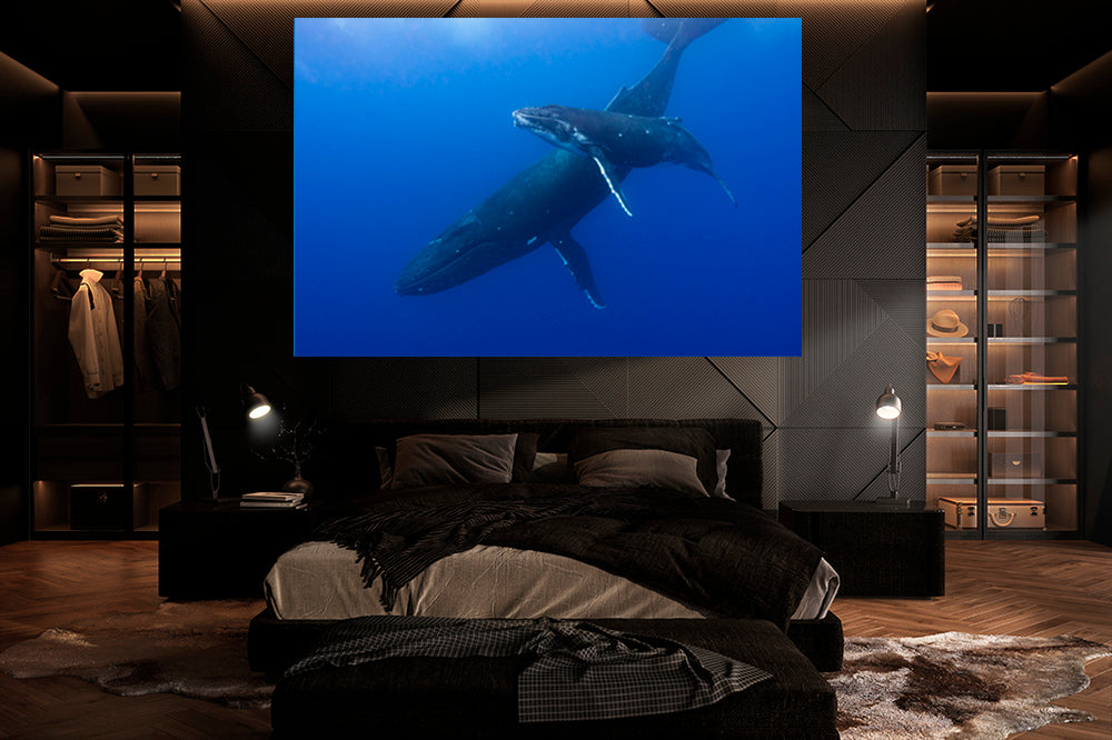 
                  
                    Indigo Ocean photograph bedroom
                  
                