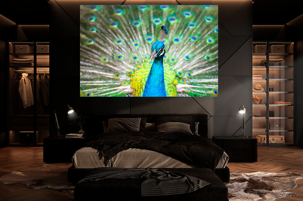 
                  
                    Peacock photography bedroom
                  
                