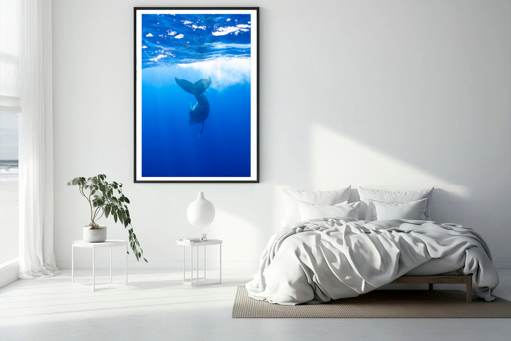 Delight photography bedroom