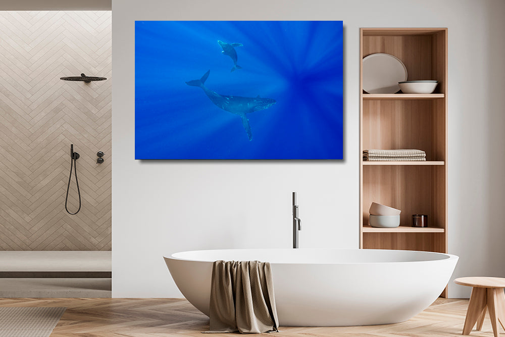 
                  
                    Whale Tales photography bathroom
                  
                