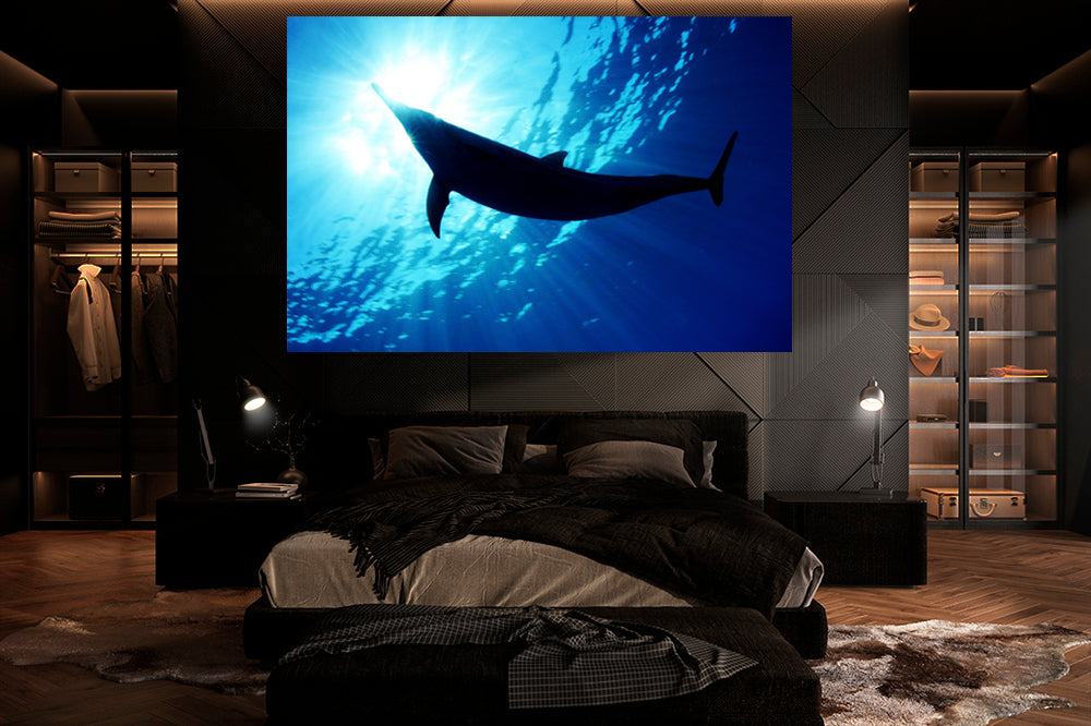 
                  
                    Dream dolphin photography bedtoom
                  
                