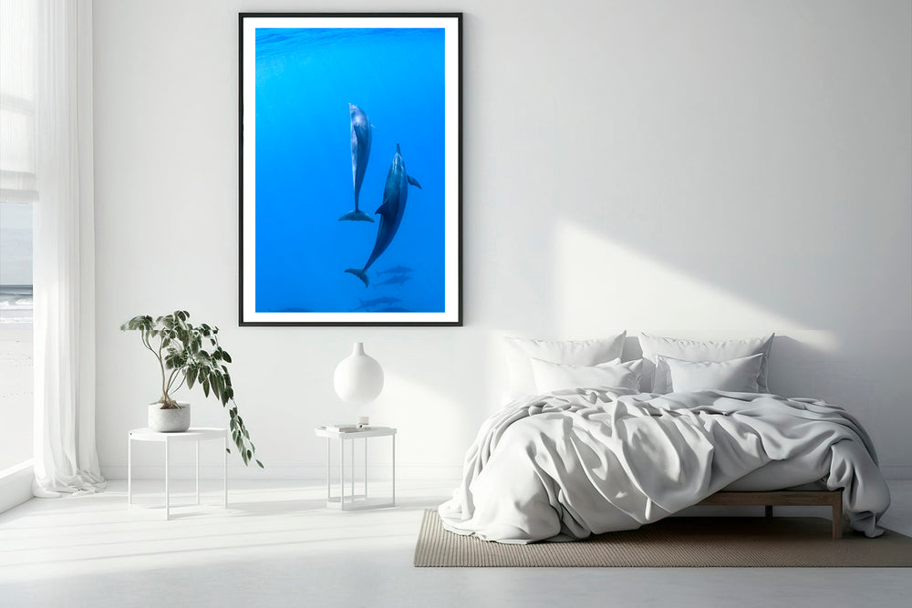 
                  
                    Hawaii dolphin photography bedroom
                  
                