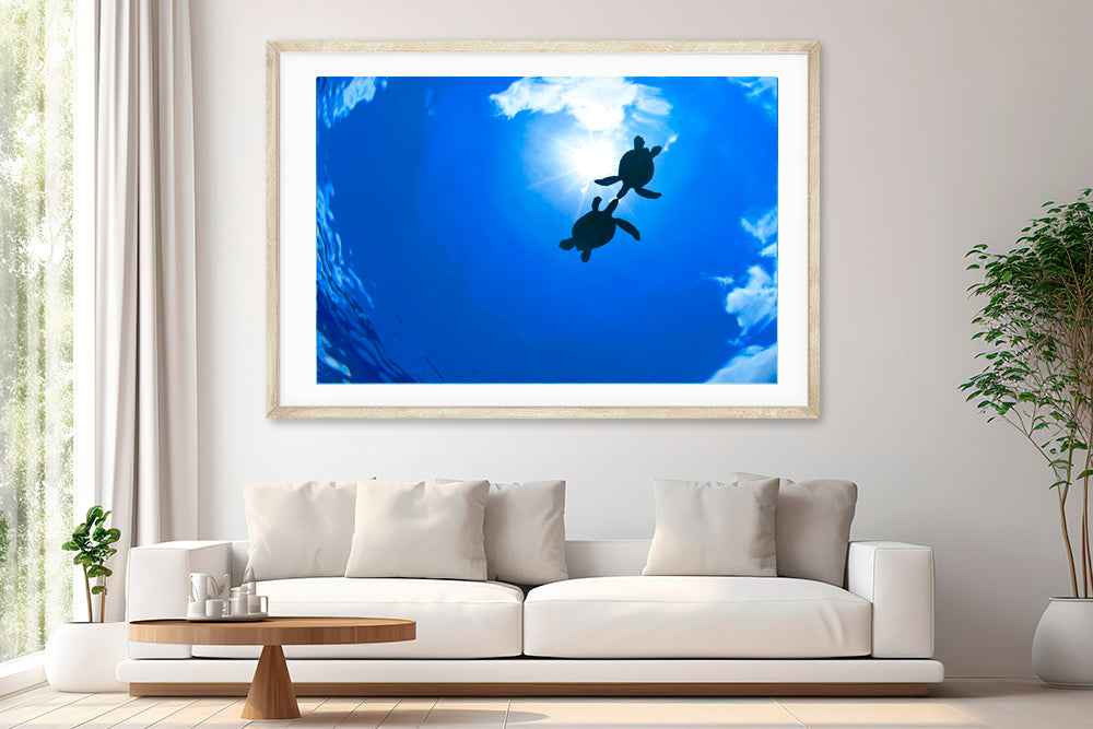 
                  
                    Best Friends honu photography living room
                  
                