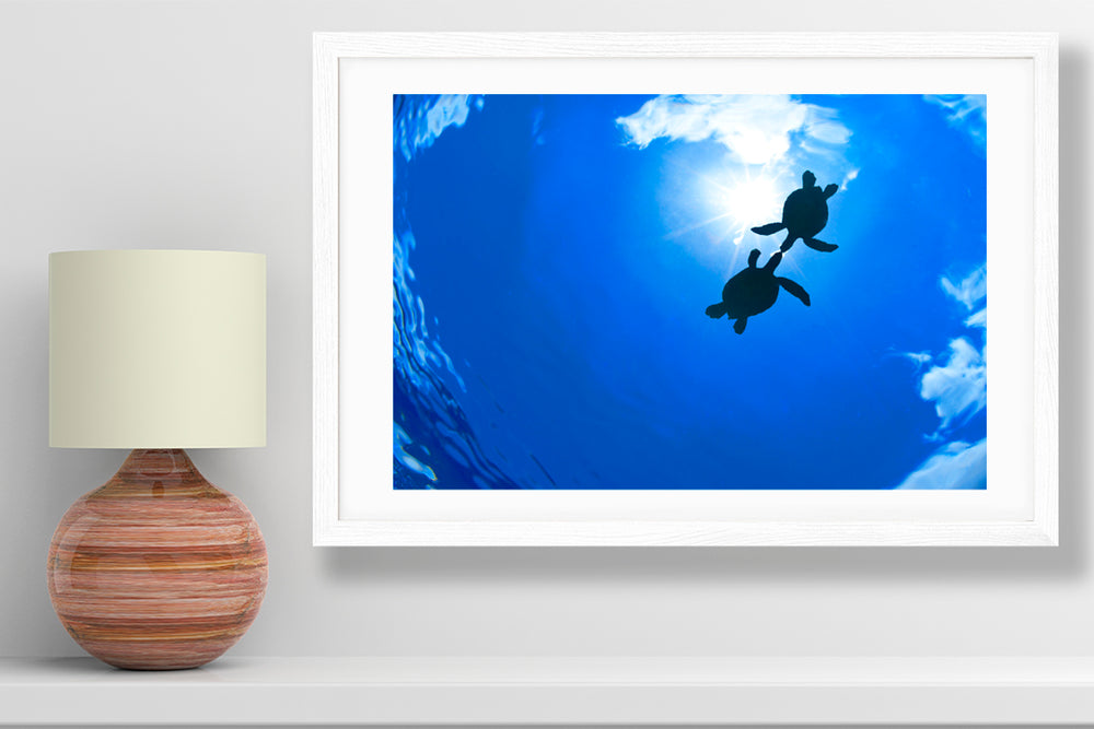 
                  
                    Best Friends honu photography small print
                  
                